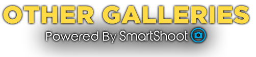 othergalleries